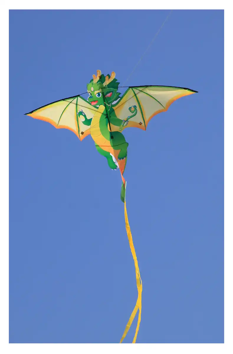 Complete dragon kite package with 100m line, storage bag, instruction manual displayed.