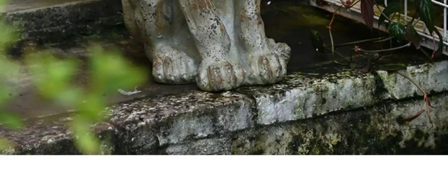 Outdoor lion decoration set arranged in courtyard showcasing American style design elements.