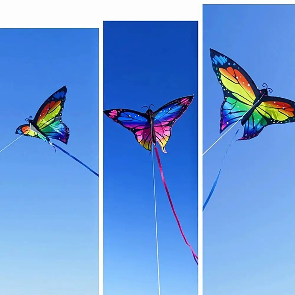 Complete butterfly kite package with string line and all accessories displayed.