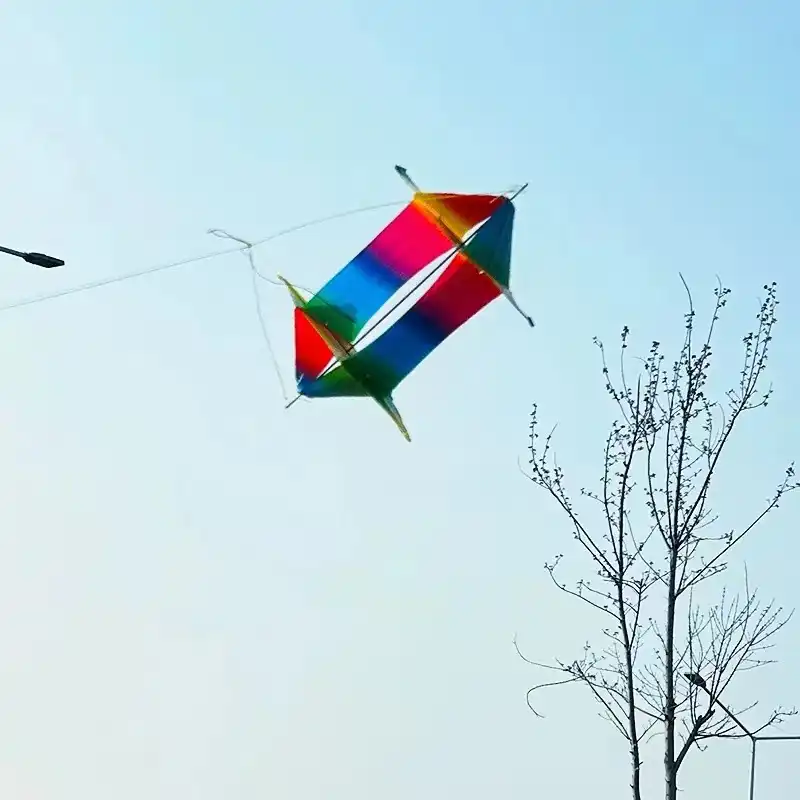 Fish kite with extended 30 meter line showing impressive flying height capability.