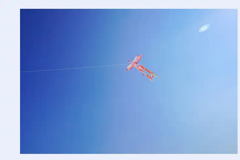 Close-up view of Phoenix kite construction showing premium composite materials and fiberglass frame.