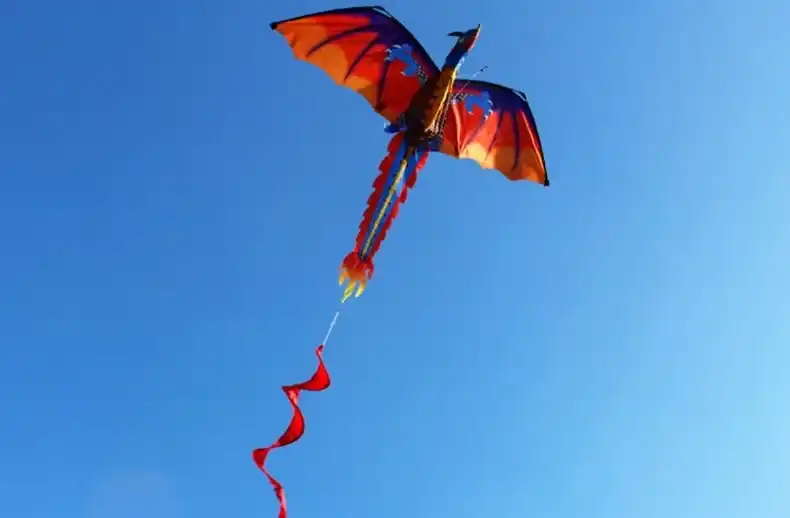 Close-up view of dragon kite construction showing premium 210T plaid fabric and fiberglass frame.