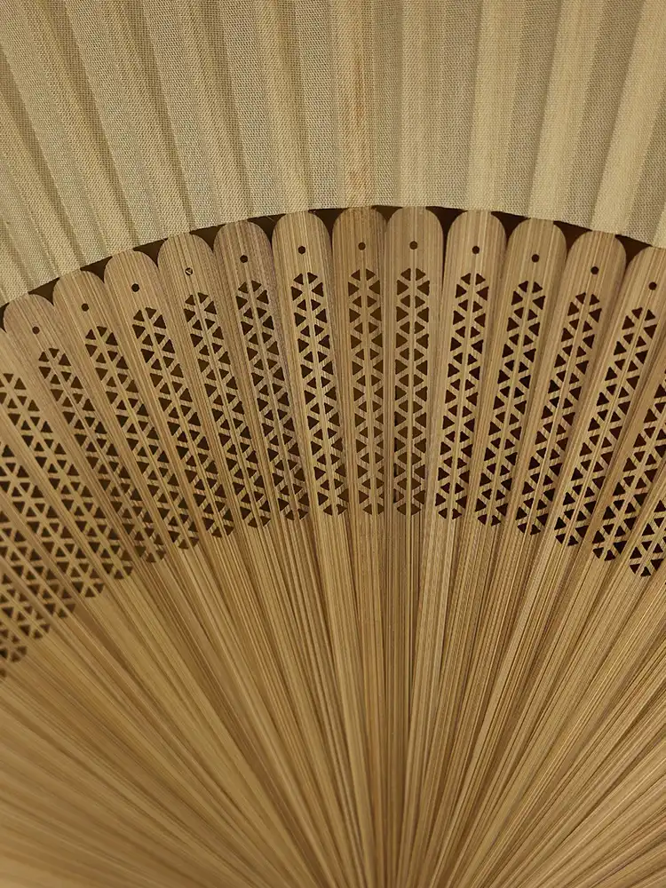 Professional dancer performing with Japanese bamboo folding fan in traditional choreography.