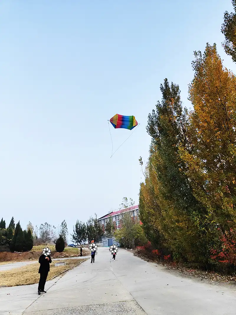 Fish kite landing gently on grass showing durable construction and safe materials.