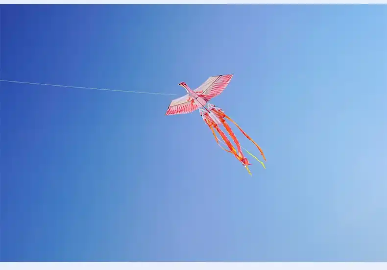 Adult hands holding Phoenix kite demonstrating size and preparing for launch in open field.