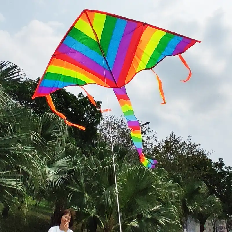 Rainbow kite in flight showing long colorful tail streaming behind triangle shape in wind.