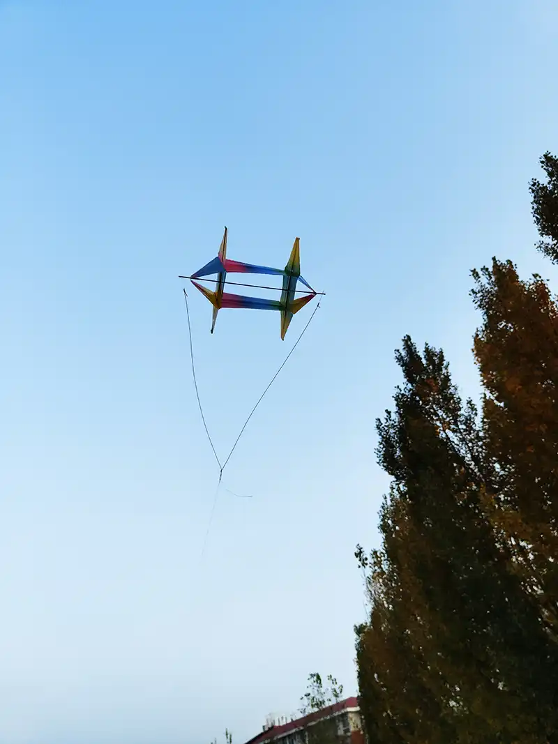 Multiple angle view of cartoon fish kite showing complete design and color details.