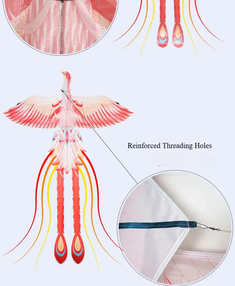 Detailed view of fiberglass rod skeleton construction ensuring durability and flight stability.