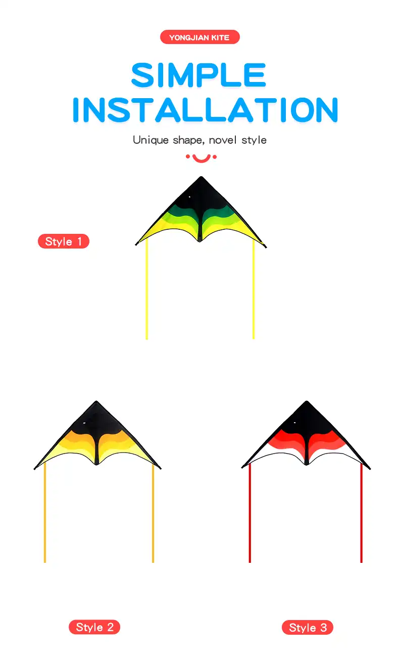 Complete kite package contents including 160cm kite, 100m string, handle and storage bag.