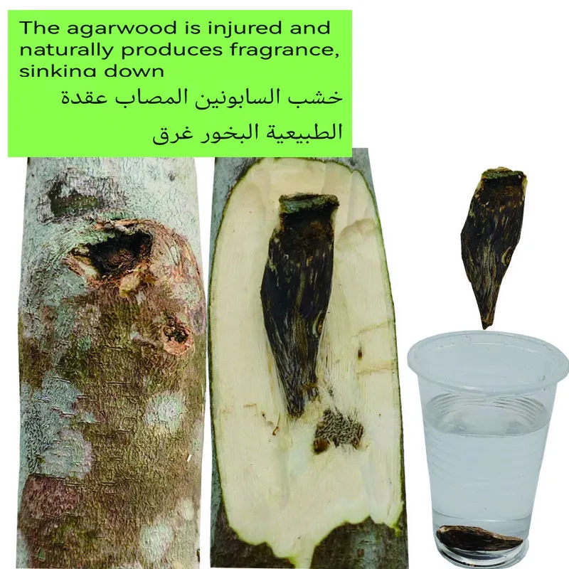 ​​Cambodia natural bakhoor oud incense 25g package showing authentic wood cone design and premium quality.