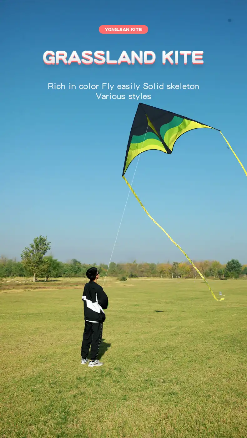 Large beach delta kite for adults in green color with 300cm tail flying against blue sky.