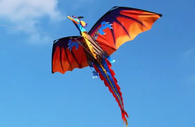 Dragon kite in flight with 1.6m spiral tail streaming behind showing stability and movement.