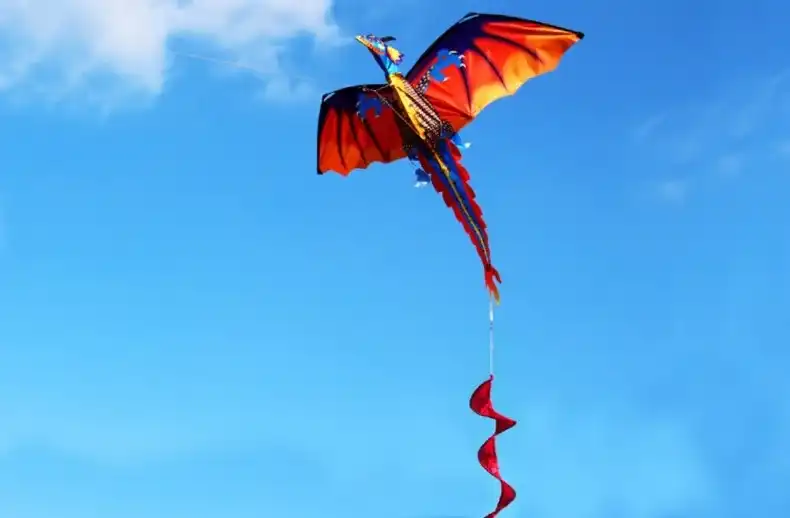 Detailed view of fiberglass rod skeleton and composite material construction of dragon kite.