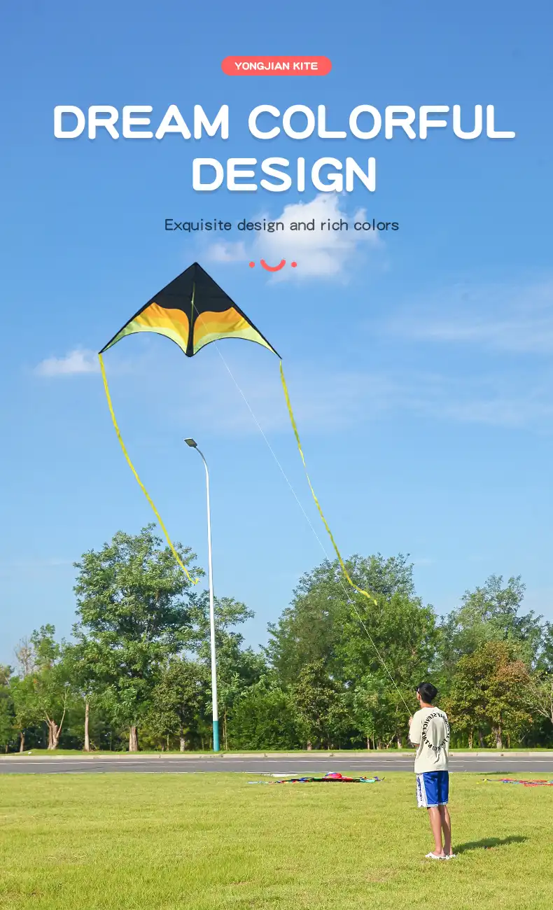 Kite folded in compact storage bag demonstrating portability and travel convenience.