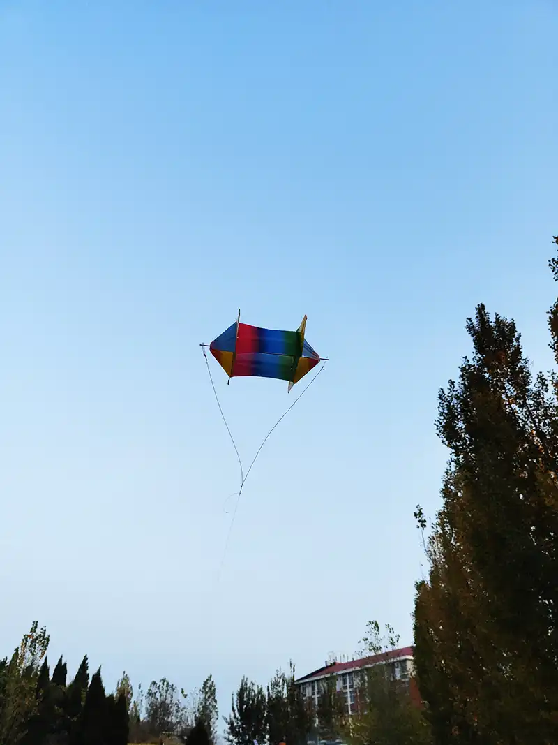 Child learning to control fish kite with 30m line in safe outdoor environment.