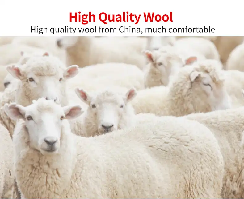 Premium wool pashmina scarf with traditional red embroidery showing elegant beige background.