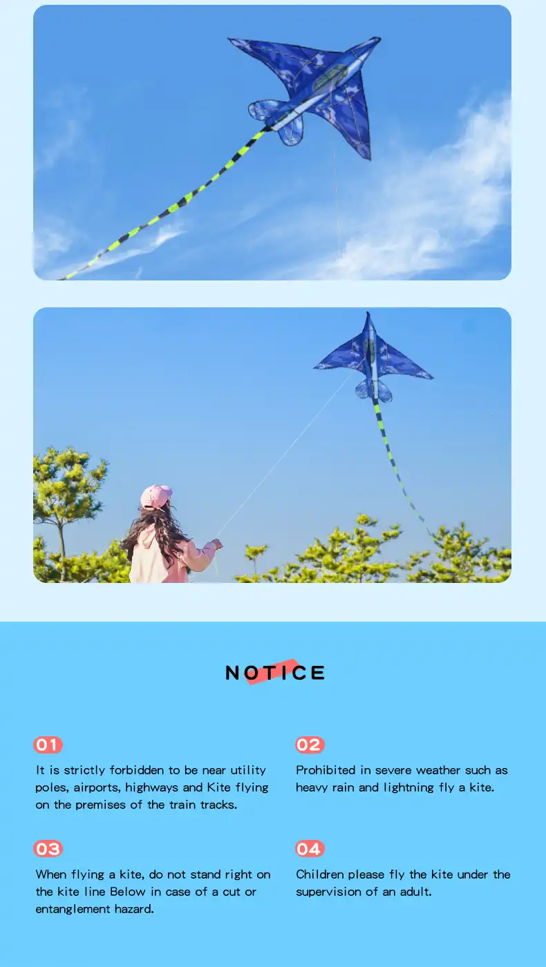 Young pilot holding blue airplane kite preparing for outdoor flying adventure at beach.