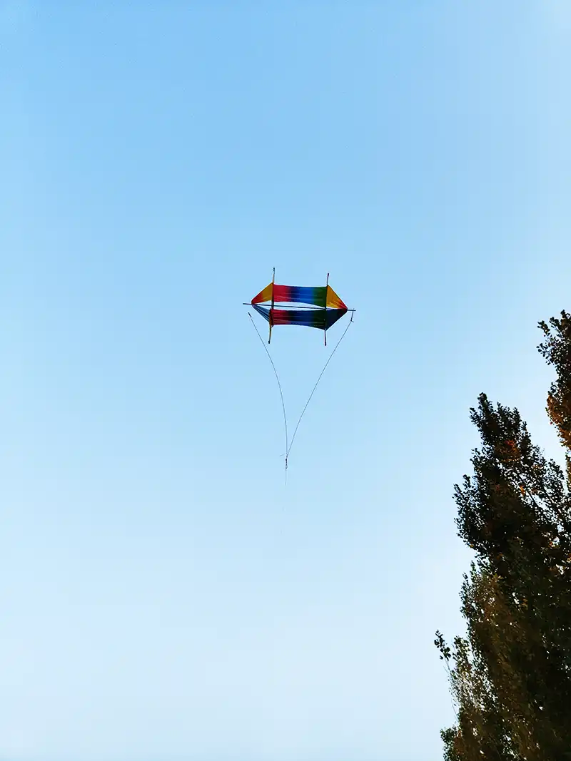 Colorful fish kite against clear blue sky background showing excellent visibility.