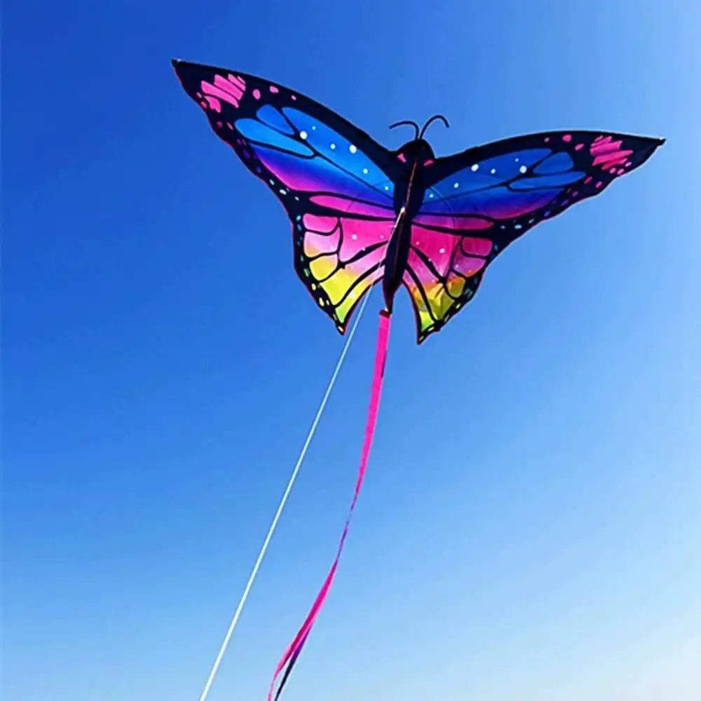 Detailed view of butterfly kite showing realistic patterns and vibrant color combinations.
