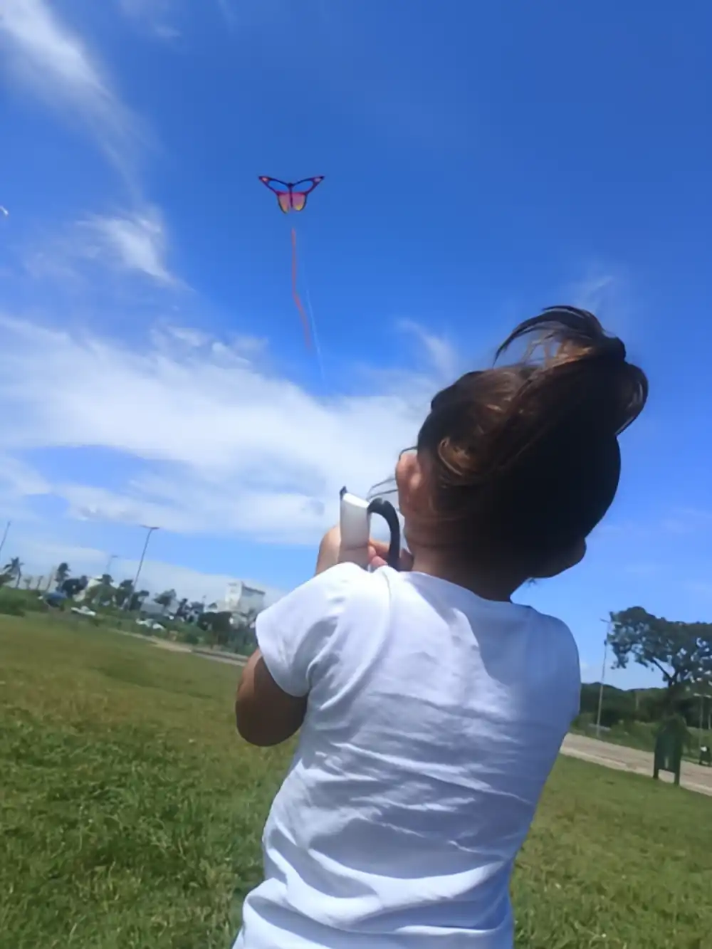 Action shot of butterfly kite catching gentle breeze and lifting gracefully upward.