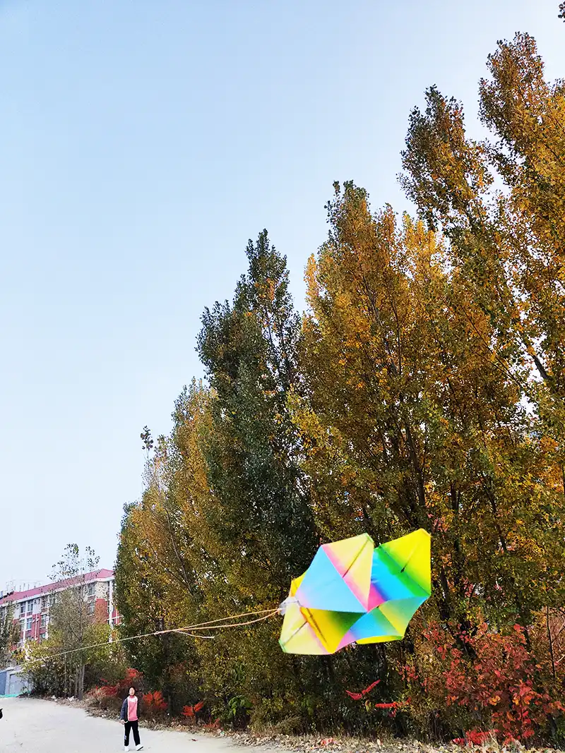 PE fish kite performing spinning rotation while maintaining steady flight path.