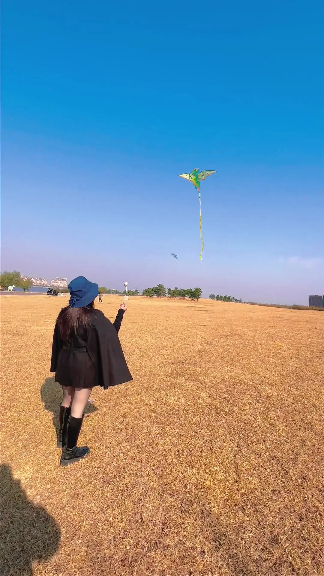 Large green dragon kite with 150x120cm wingspan creating impressive cultural sky display.