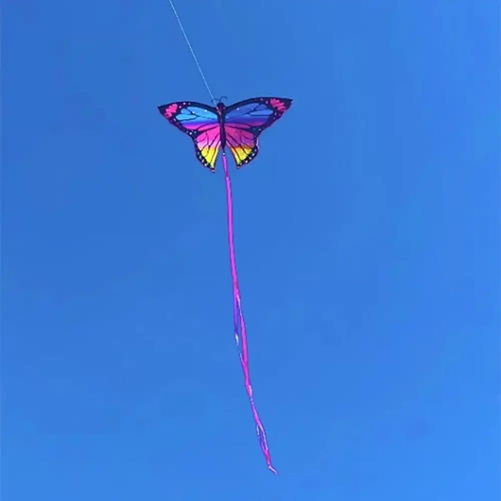 Young girl holding large butterfly kite preparing for outdoor flying adventure.